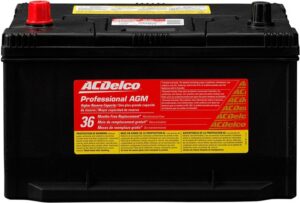 ACDelco 65AGMHR Professional AGM Automotive Battery