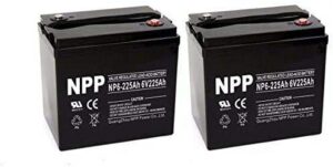 NPP NP6-225Ah 6V AGM Deep Cycle Battery